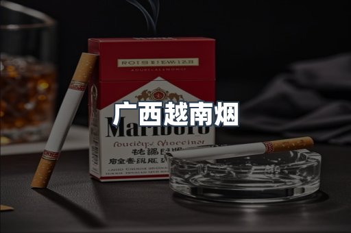 广西越南烟